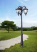 Picture of Tobia Nebo-Ofir Triple
